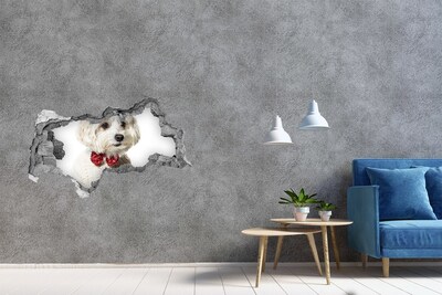 Wandbilder 3D Mauerdurchbruch Hund im Pullover durch ein Loch in der Wand