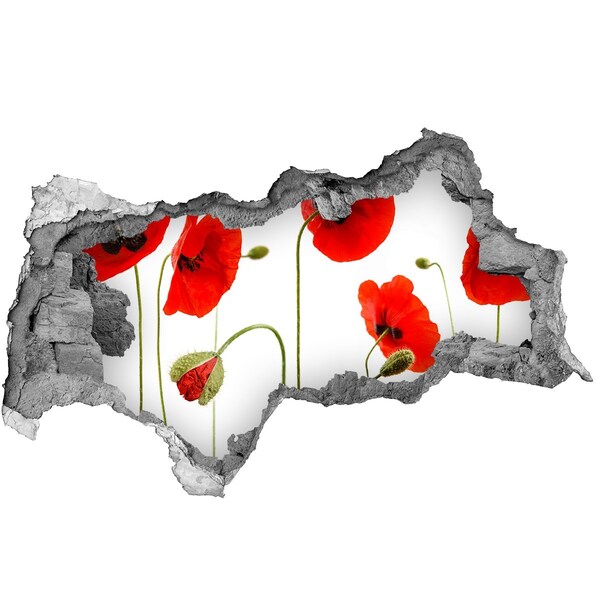 Wandbilder 3D Mauerdurchbruch Mohnblumen in einem Loch in der Wand