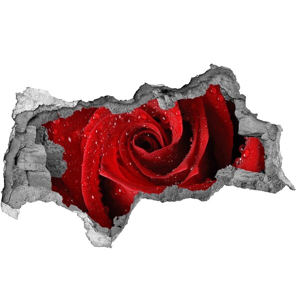 Wandtattoos Mauerdurchbruch Blume aus Beton