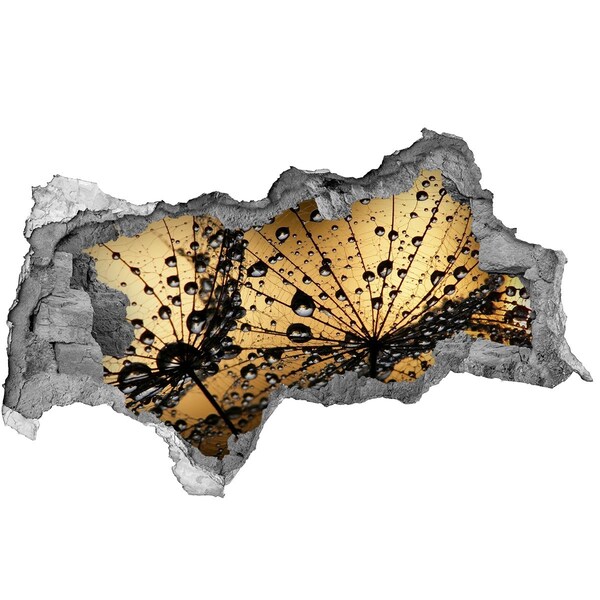 Wandbilder 3D Mauerdurchbruch Tropfen auf den Blättern