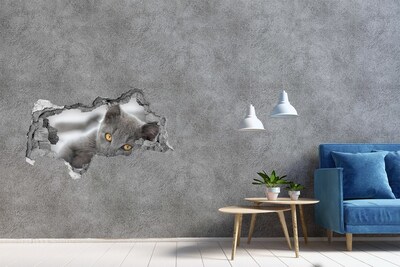 Wandbilder 3D Mauerdurchbruch Graue Katze in einem Loch in der Wand
