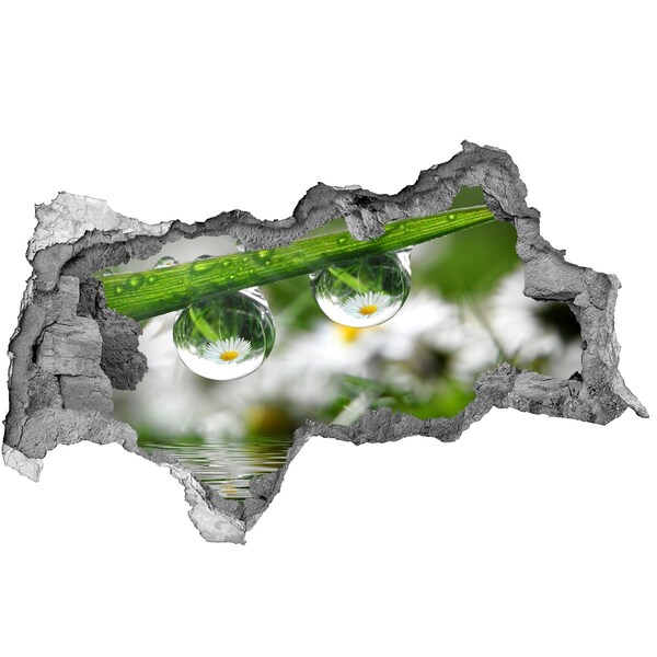 Wandbilder 3D Mauerdurchbruch Blumenoase mit Wassertropfen