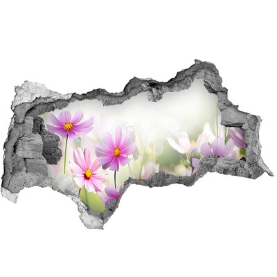 Wandbilder 3D Mauerdurchbruch Ein Blumenparadies hinter der Mauer