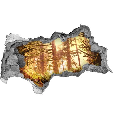 3D Wandtattoos Mauerdurchbruch Eine Waldoase im Sonnenschein