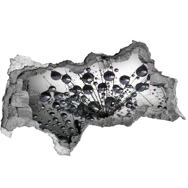 Wandbilder 3D Mauerdurchbruch Wassertropfen auf einem Löwenzahn