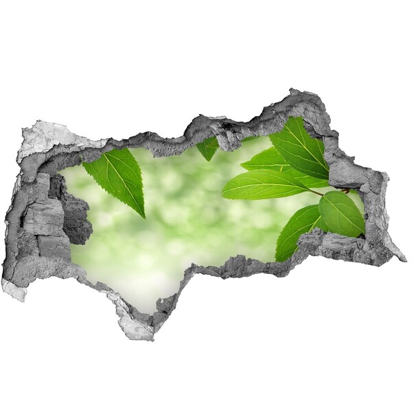 Wandbilder 3D Mauerdurchbruch Eine grüne Oase aus Beton