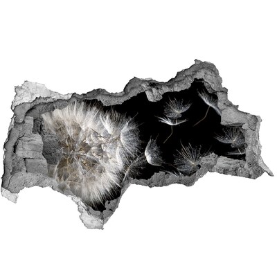 Wandbilder 3D Mauerdurchbruch Löwenzahn im schwarzen Raum