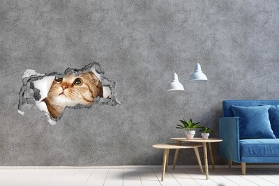 Wandtattoos Mauerdurchbruch Katze in einem Loch in der Wand