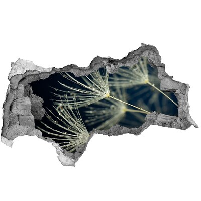 3D Wandtattoos Mauerdurchbruch Löwenzahnblüten im Wasser