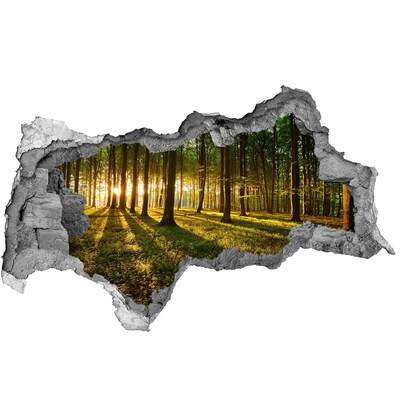 Wandbilder 3D Mauerdurchbruch Goldener Wald am Morgen