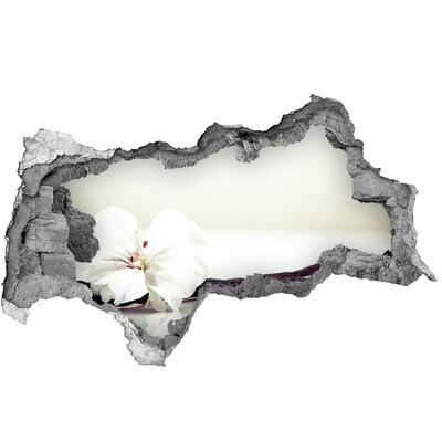 3D Wandtattoos Mauerdurchbruch Blumenansicht durch die Wand