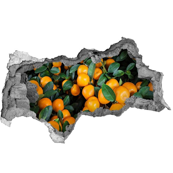 Wandtattoos Mauerdurchbruch Früchte im Orangengarten