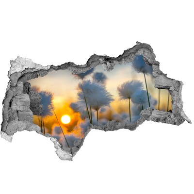 Wandbilder 3D Mauerdurchbruch Blumen im Sonnenuntergang