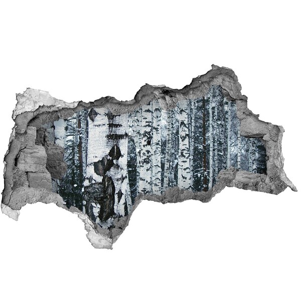 Wandbilder 3D Mauerdurchbruch Winterbirkenwald