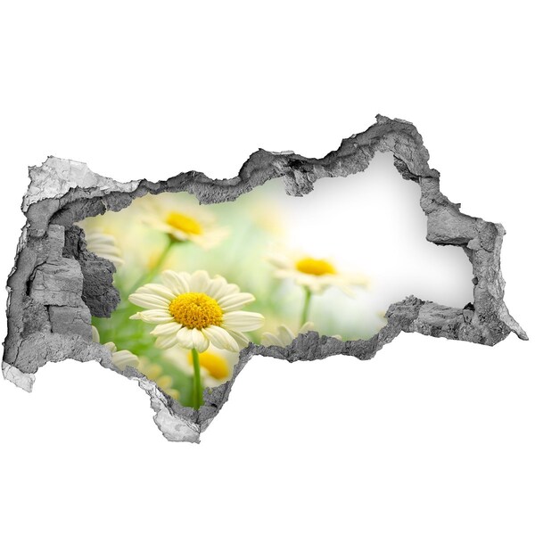 Wandbilder 3D Mauerdurchbruch Ein Blumenparadies hinter der Mauer