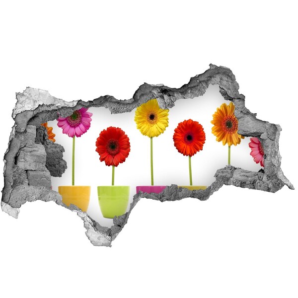Mauerdurchbruch Aufkleber Blumen in Töpfen durch ein Loch in der Wand