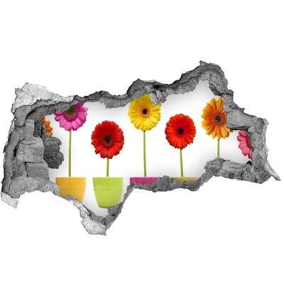 Mauerdurchbruch Aufkleber Blumen in Töpfen durch ein Loch in der Wand
