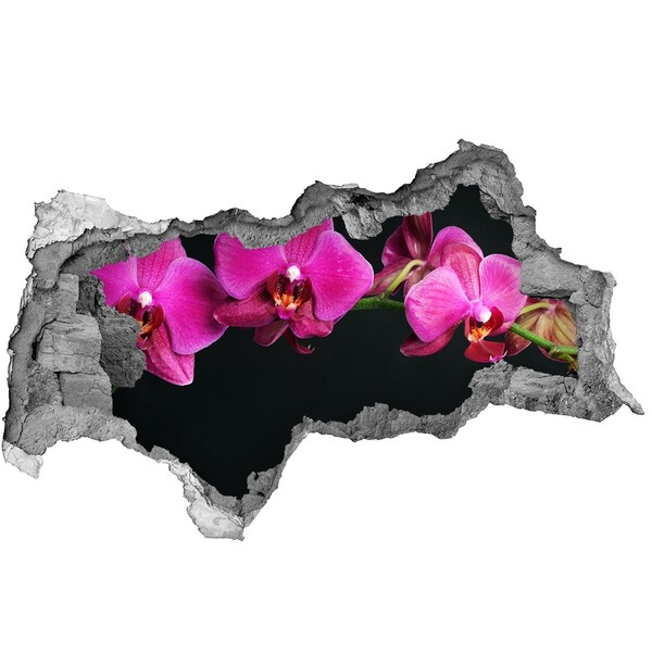 Wandbilder 3D Mauerdurchbruch Orchidee durch die Wand
