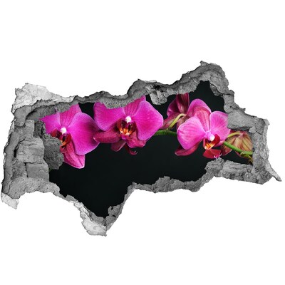 Wandbilder 3D Mauerdurchbruch Orchidee durch die Wand