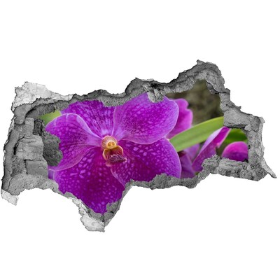 3D Wandtattoos Mauerdurchbruch Orchideenblüte in einem Loch in der Wand