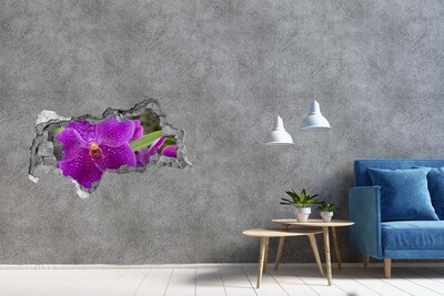 3D Wandtattoos Mauerdurchbruch Orchideenblüte in einem Loch in der Wand