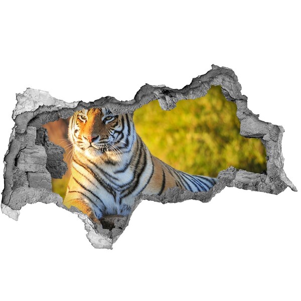 Wandbilder 3D Mauerdurchbruch Tiger in seinem natürlichen Lebensraum