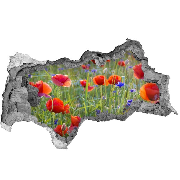 3D Wandtattoos Mauerdurchbruch Ein Blumenparadies hinter der Mauer