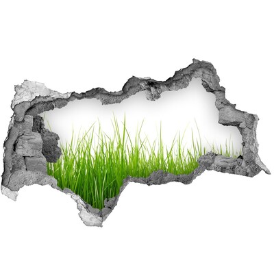 3D Wandtattoos Mauerdurchbruch Eine grüne Wiese hinter der Mauer