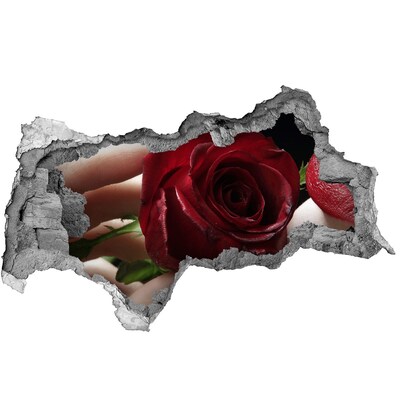 Wandtattoos Mauerdurchbruch Eine Rose in einer verfallenen Mauer
