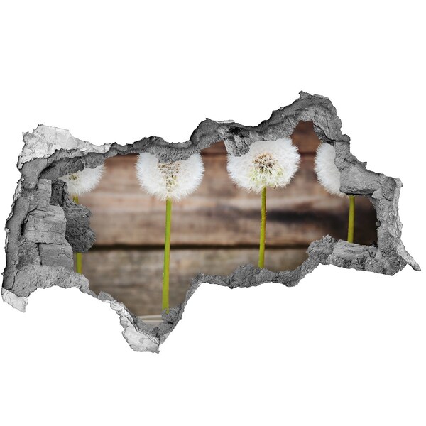 Wandbilder 3D Mauerdurchbruch Löwenzahnblüten in Ruinen