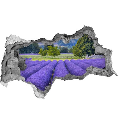 Wandbilder 3D Mauerdurchbruch Lavendelfelder in der Provence