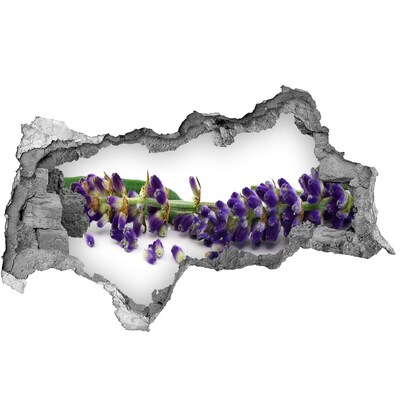 Wandbilder 3D Mauerdurchbruch Lavendelblüte durch ein Loch in der Wand