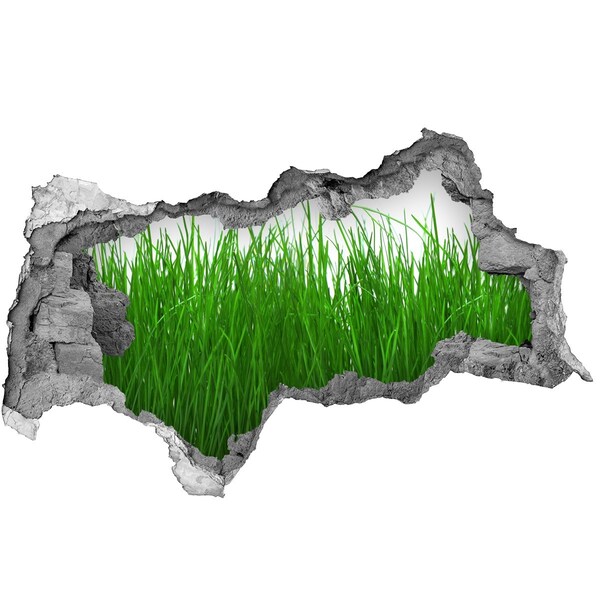 Mauerdurchbruch Aufkleber Grüne Wiese durch ein Loch in der Wand