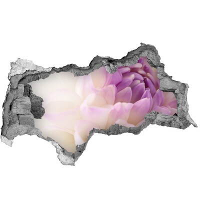 Wandbilder 3D Mauerdurchbruch Blumenillusion aus Beton