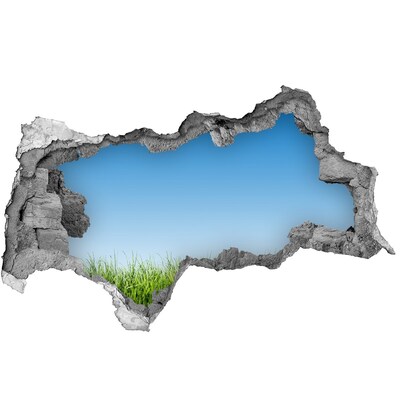 Mauerdurchbruch Aufkleber Grüne Wiese unter blauem Himmel