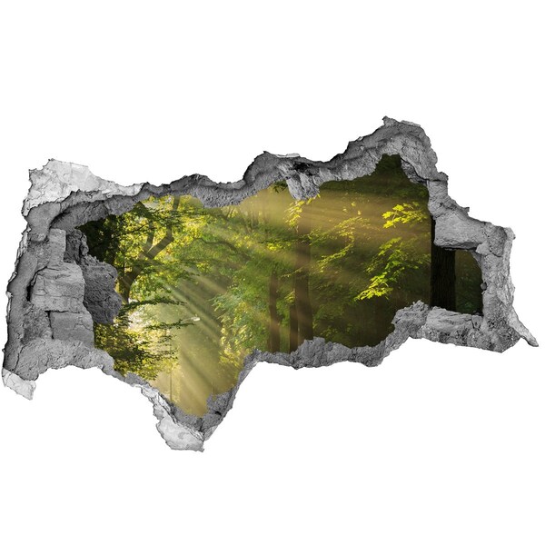 Mauerdurchbruch Aufkleber Waldoase des Lichts