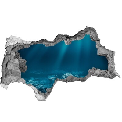 Wandtattoos Mauerdurchbruch Die Unterwasserwelt der Korallen