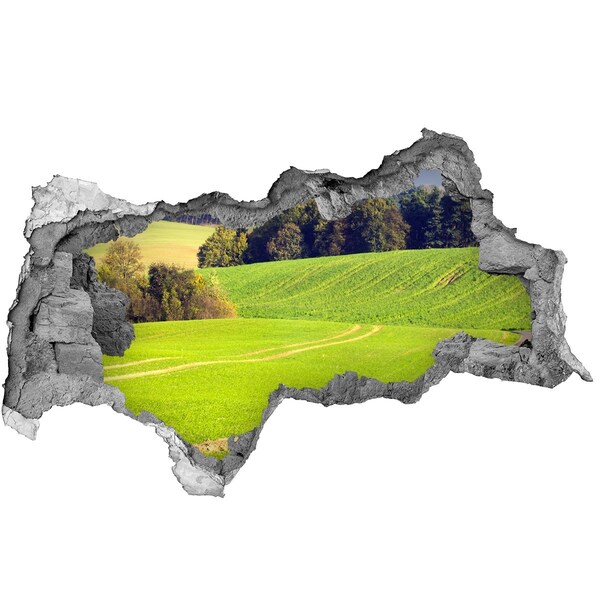 Wandbilder 3D Mauerdurchbruch Grüne Wiese hinter der Mauer