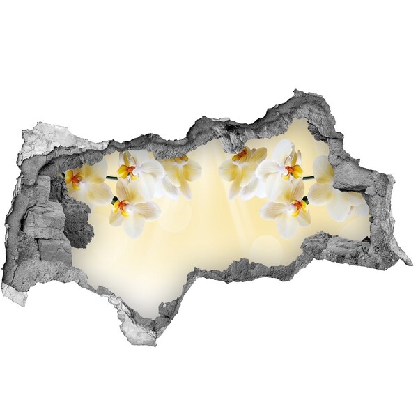 Wandbilder 3D Mauerdurchbruch Eine blühende Oase hinter der Mauer