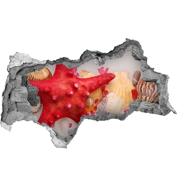 Mauerdurchbruch Aufkleber Unterwasserwelt mit Muscheln