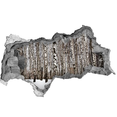 Wandbilder 3D Mauerdurchbruch Winterbirkenwald