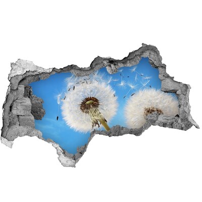 3D Wandtattoos Mauerdurchbruch Löwenzahn am blauen Himmel
