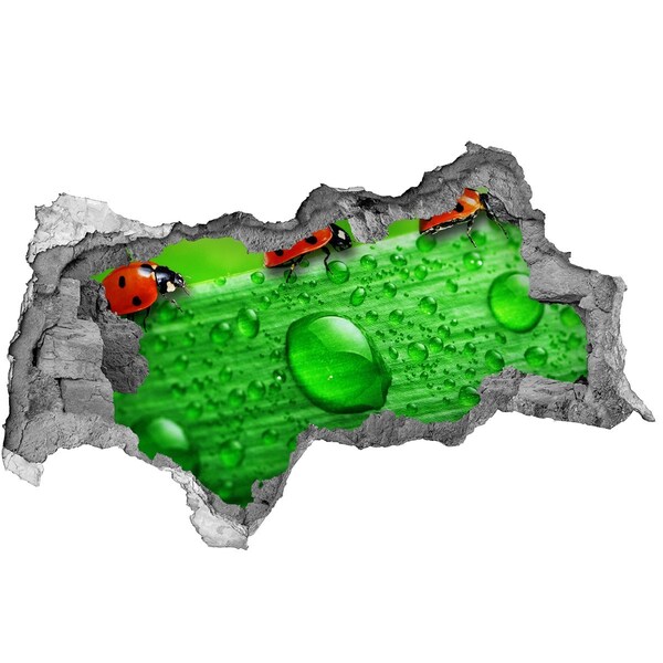 Wandtattoos Mauerdurchbruch Ein Tautropfen auf einem Blatt