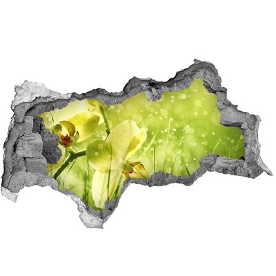 Wandbilder 3D Mauerdurchbruch Eine blühende Oase im Grünen