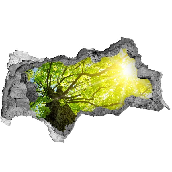 3D Wandtattoos Mauerdurchbruch Grüner Wald in den Sonnenstrahlen