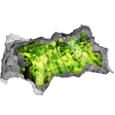 3D Wandtattoos Mauerdurchbruch Grüner Wald in den Sonnenstrahlen