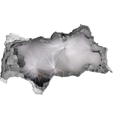 3D Wandtattoos Mauerdurchbruch Löwenzahn im Beton