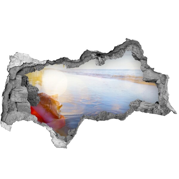 Wandbilder 3D Mauerdurchbruch Tropischer Strand mit Muscheln