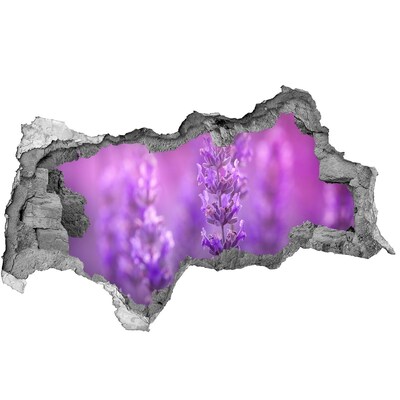 3D Wandtattoos Mauerdurchbruch Lavendelblüten im Morgenlicht