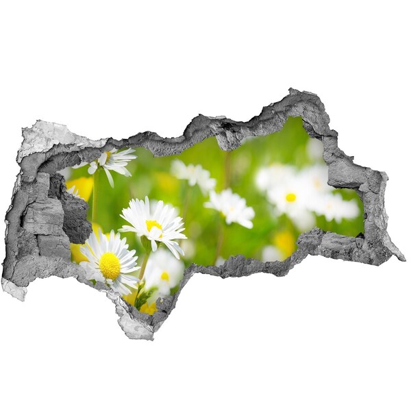 Wandbilder 3D Mauerdurchbruch Ein Blumenparadies hinter den Mauern